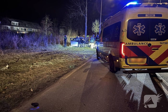 Auto botst tegen boom, drie personen gewond