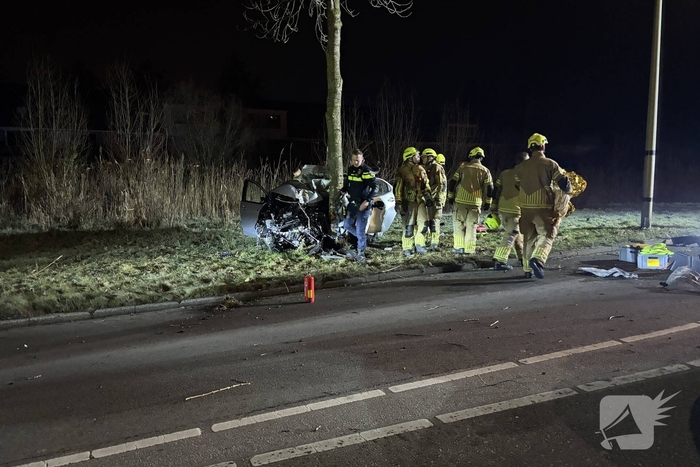 Auto botst tegen boom, drie personen gewond