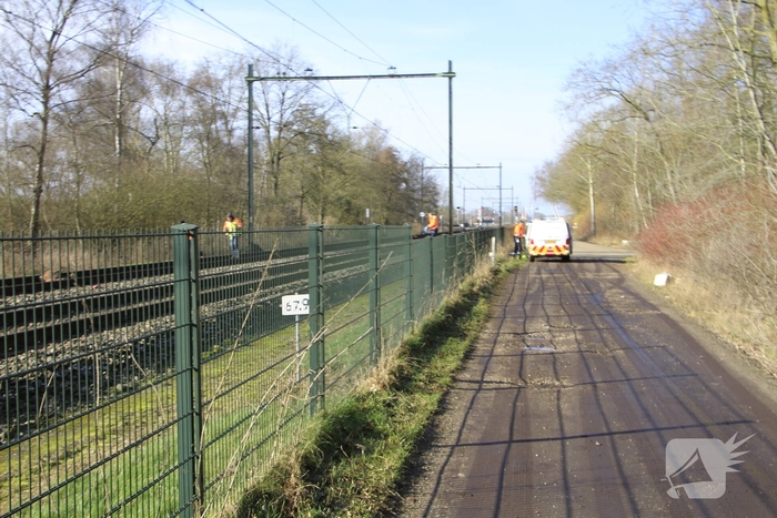 Hond overleden na aanrijding met trein