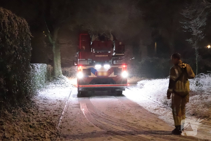 Brandweer redt kat van dak