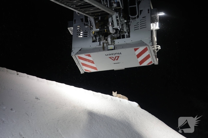 Brandweer redt kat van dak