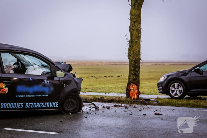 Automobilist botst tegen boom na ongeval
