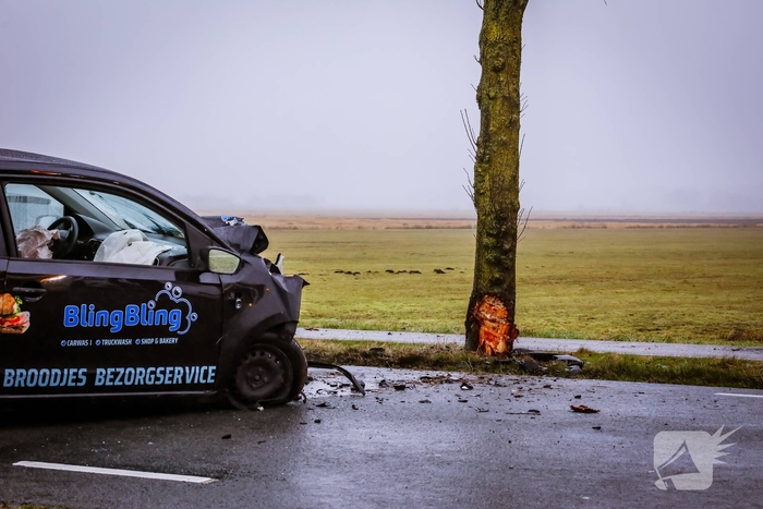 Automobilist botst tegen boom na ongeval