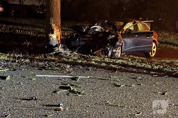 Ravage nadat auto tegen boom crasht