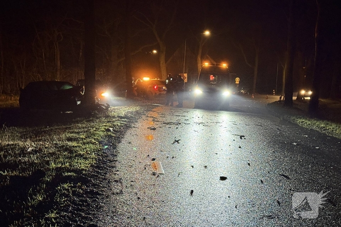 Ravage nadat auto tegen boom crasht