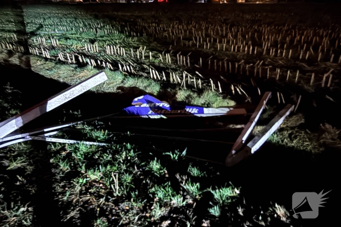 Ravage nadat auto tegen boom crasht