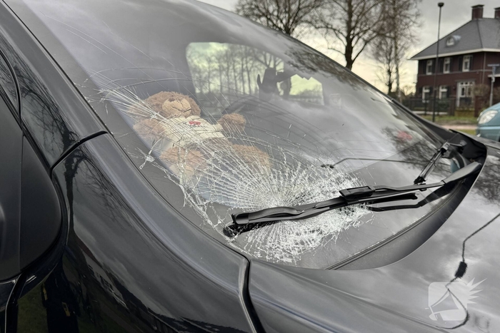 Bestelbus rijdt jongeman op fiets aan