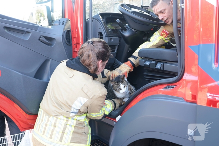 Woningbrand leidt tot redding van kat