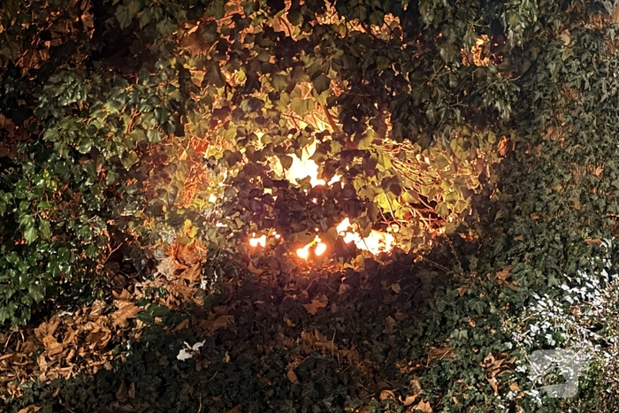 Brand in boom vergt ingreep van de brandweer