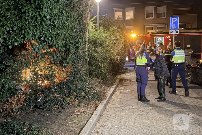 Brand in boom vergt ingreep van de brandweer
