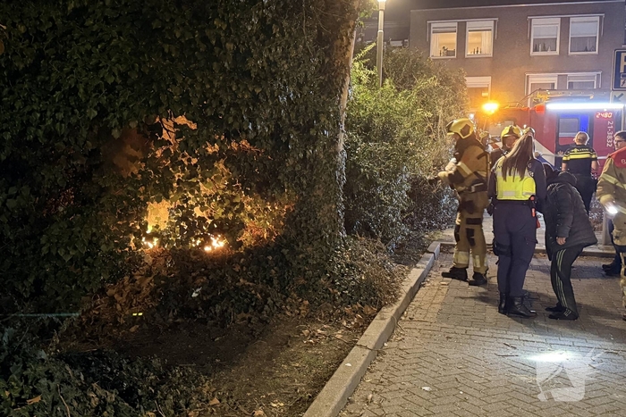 Brand in boom vergt ingreep van de brandweer
