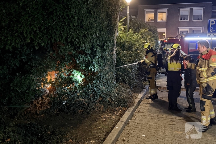 Brand in boom vergt ingreep van de brandweer