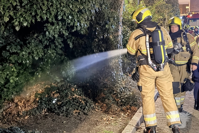 Brand in boom vergt ingreep van de brandweer