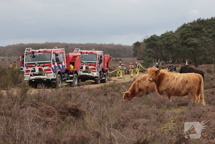 Brandweer houdt grootscheepse natuurbrand oefening