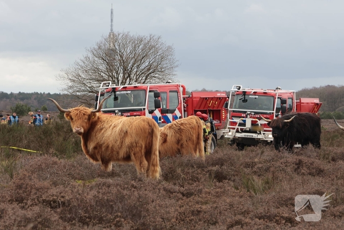 Brandweer houdt grootscheepse natuurbrand oefening
