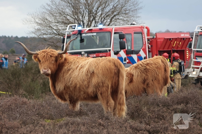 Brandweer houdt grootscheepse natuurbrand oefening