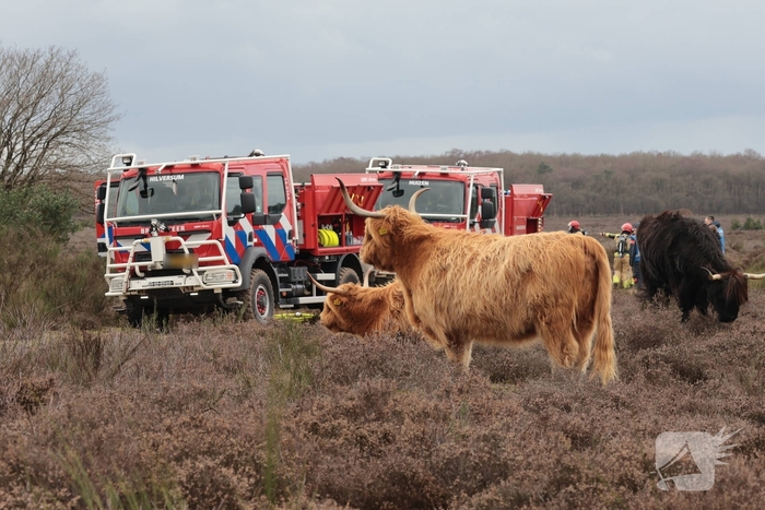 Brandweer houdt grootscheepse natuurbrand oefening