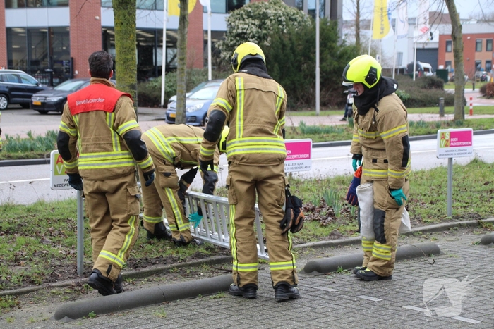 Brandweervrouw redt gans uit boom