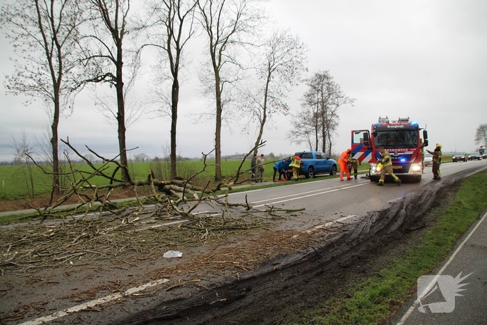 Boom valt op weg en veroorzaakt verkeersopstoppingen