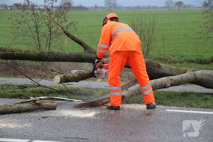 Boom valt op weg en veroorzaakt verkeersopstoppingen