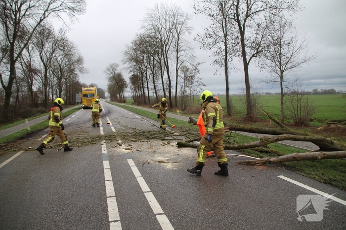 Boom valt op weg en veroorzaakt verkeersopstoppingen