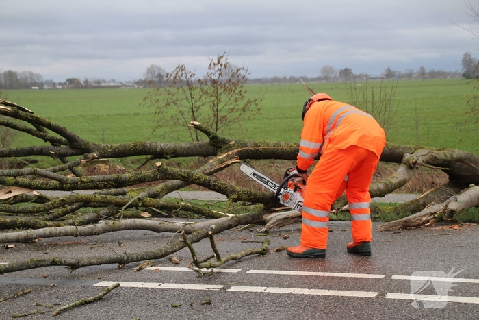 Boom valt op weg en veroorzaakt verkeersopstoppingen