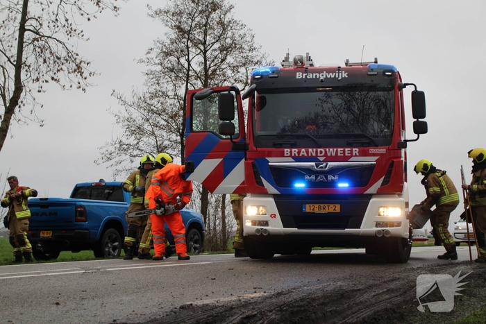 Boom valt op weg en veroorzaakt verkeersopstoppingen