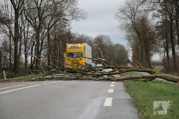 Boom valt op weg en veroorzaakt verkeersopstoppingen