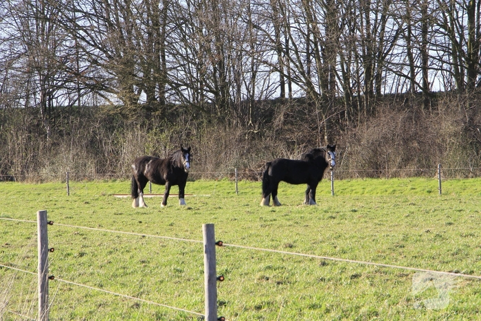 Buitenbrand veroorzaakt rookoverlast
