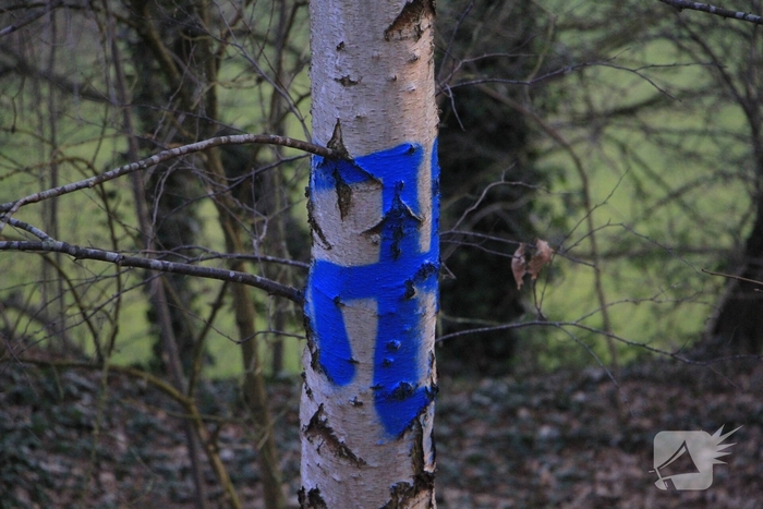 Kind betrapt op steken van vuurtjes met spuitbussen