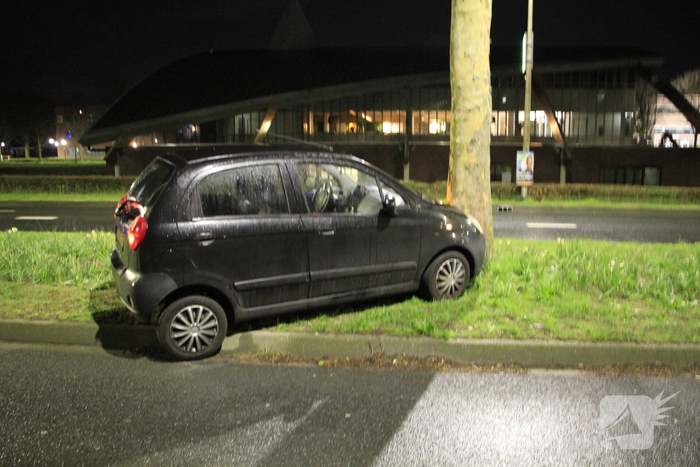 Auto botst tegen bomen