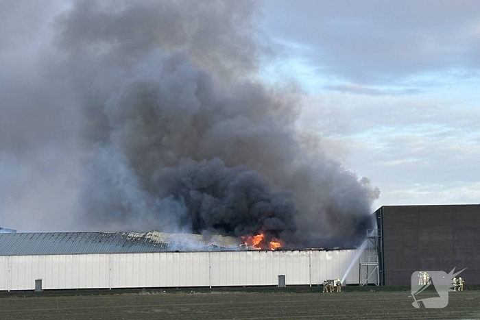 Brand in loods veroorzaakt grote rookontwikkeling