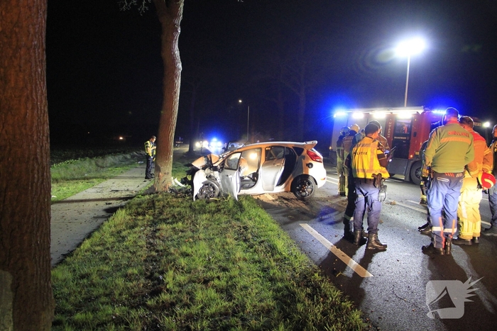 Bestuurder zwaargewond bij aanrijding met boom