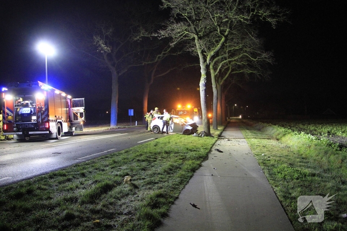Bestuurder zwaargewond bij aanrijding met boom