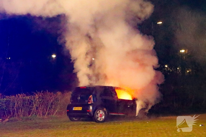 Brand verwoest meerdere voertuigen op parkeerterrein
