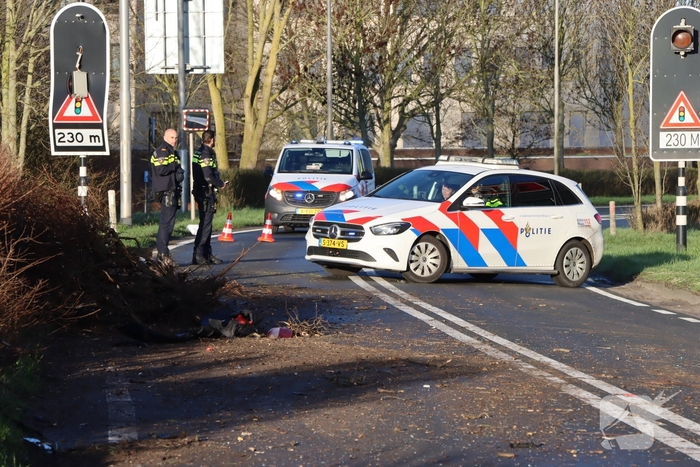 Auto-ongeluk zorgt voor ravage