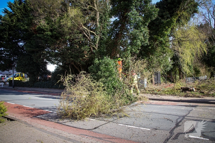 Brandweer verwijdert gevaarlijke takken na bijna ongeval