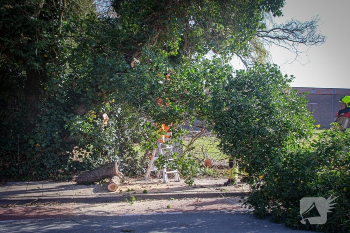 Brandweer verwijdert gevaarlijke takken na bijna ongeval