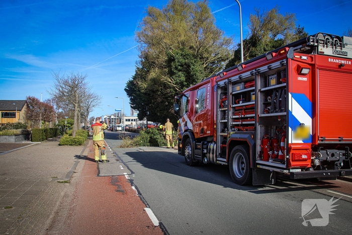Brandweer verwijdert gevaarlijke takken na bijna ongeval