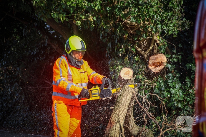 Brandweer verwijdert gevaarlijke takken na bijna ongeval