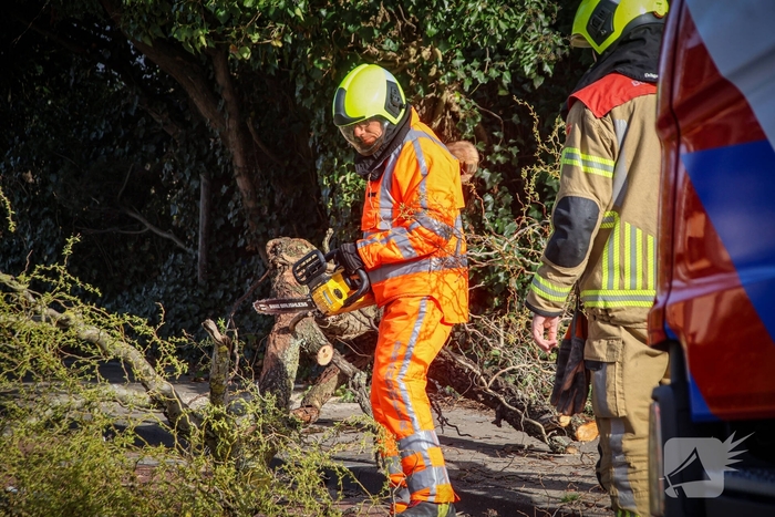 Brandweer verwijdert gevaarlijke takken na bijna ongeval