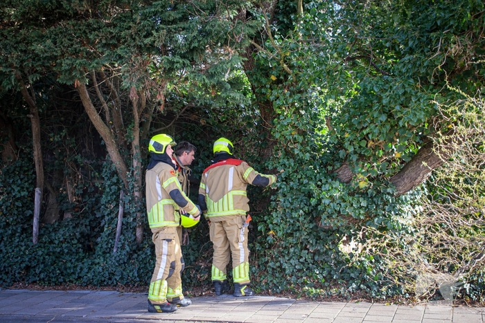 Brandweer verwijdert gevaarlijke takken na bijna ongeval