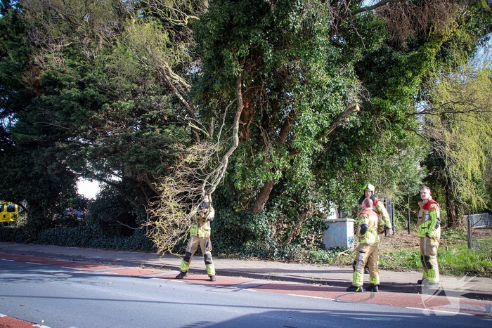 Brandweer verwijdert gevaarlijke takken na bijna ongeval