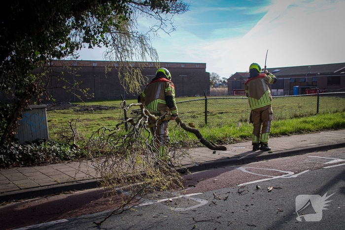 Brandweer verwijdert gevaarlijke takken na bijna ongeval