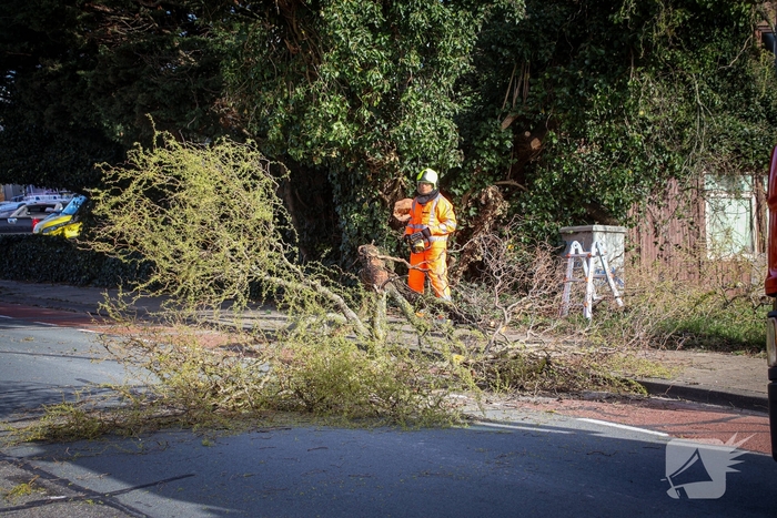Brandweer verwijdert gevaarlijke takken na bijna ongeval