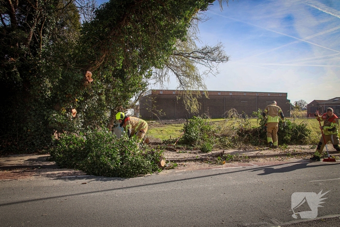 Brandweer verwijdert gevaarlijke takken na bijna ongeval