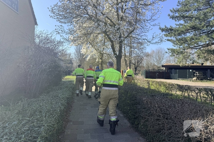 Vogel vast in spouwmuur, brandweer in actie