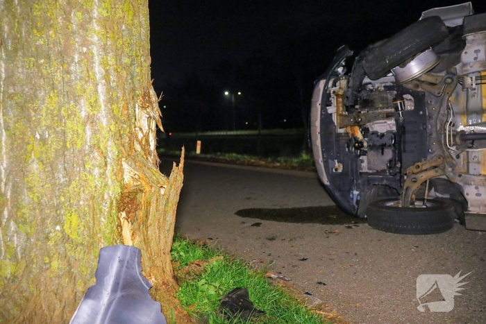 Bestelbus botst tegen boom, bestuurder gewond