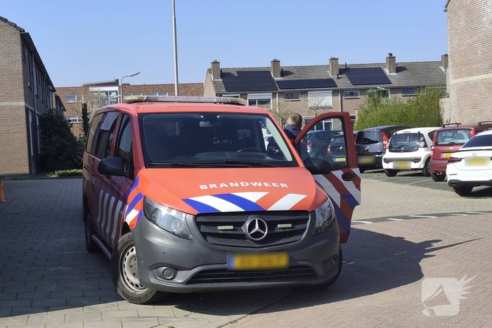 Man aangehouden na actie