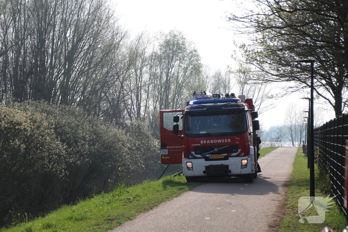 Brand verwoest riet langs het water